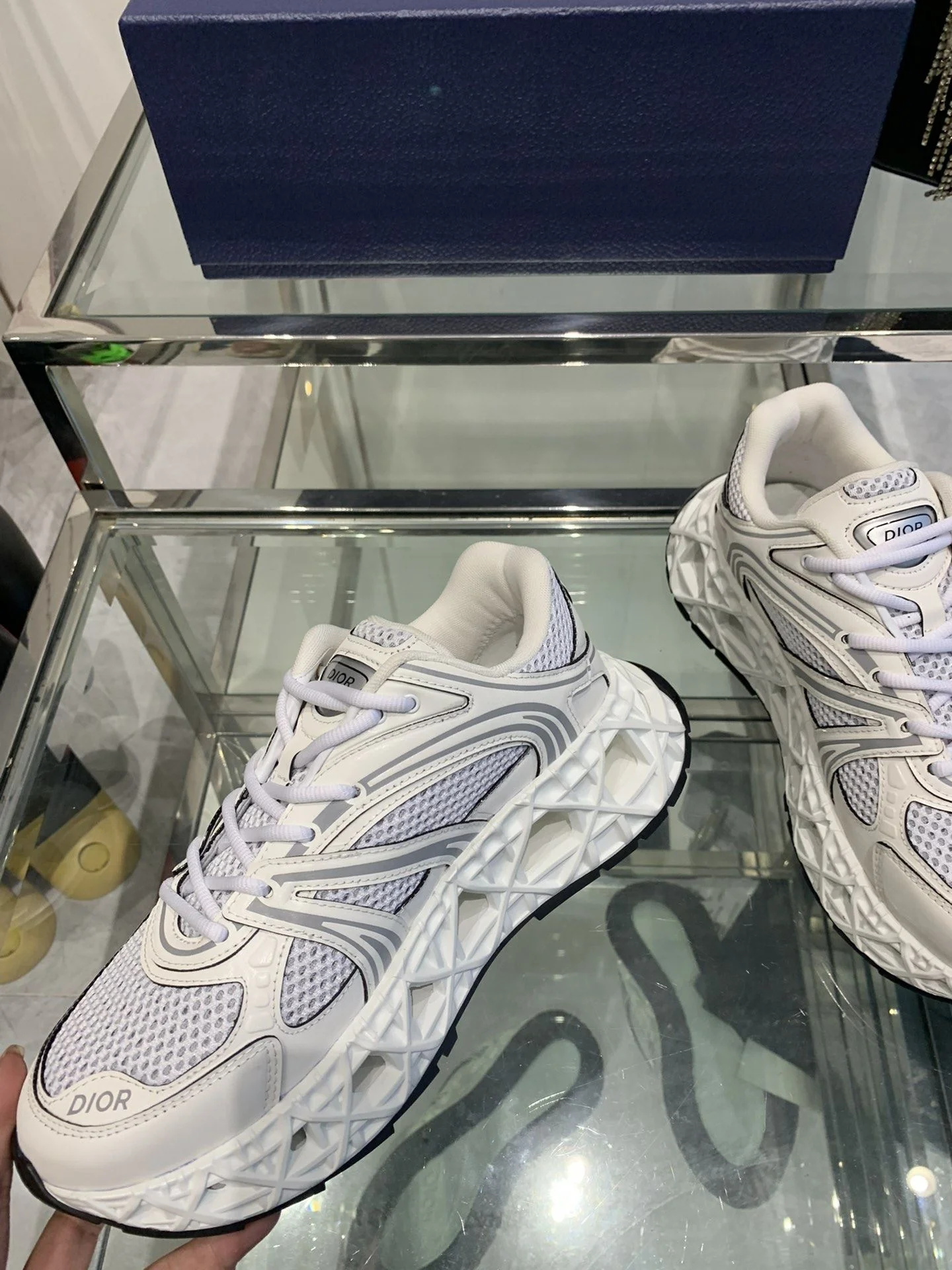 Christian Dior Sneaker Upgraded 21061