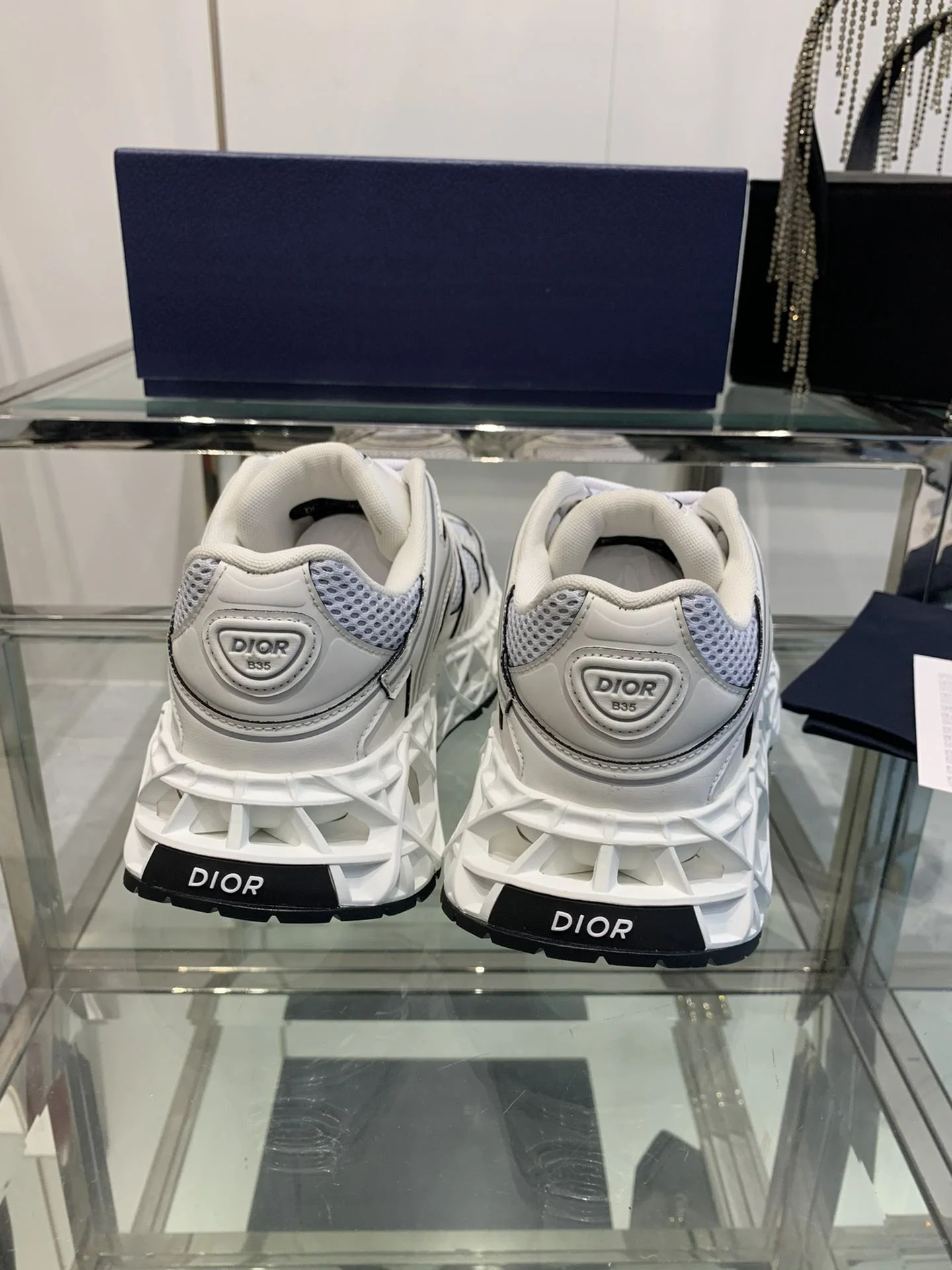 Christian Dior Sneaker Upgraded 21061