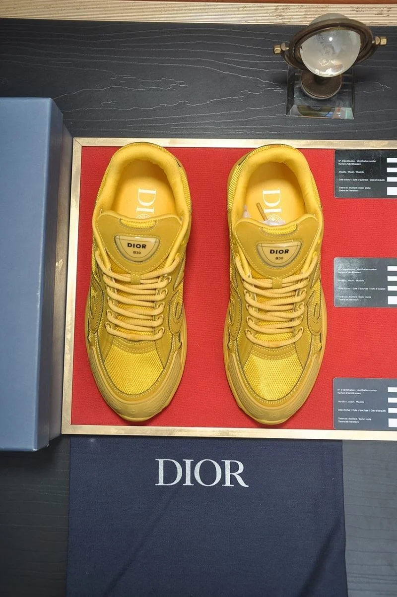 Christian Dior Sneaker Sustainable 22178