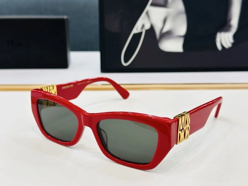 Christian Dior Sunglasses ZipUp 278725