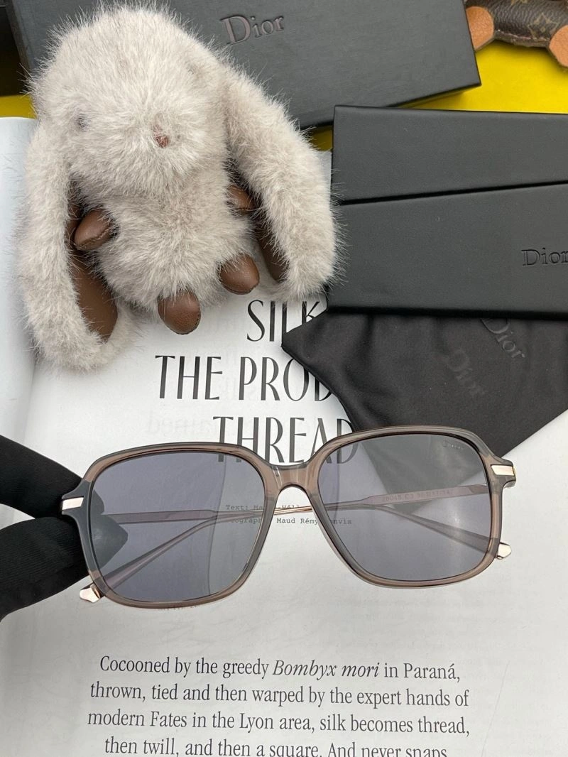 Christian Dior Sunglasses Durable 278697