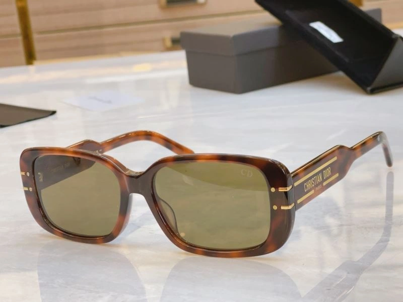 Vibrant Christian Dior Sunglasses 278682