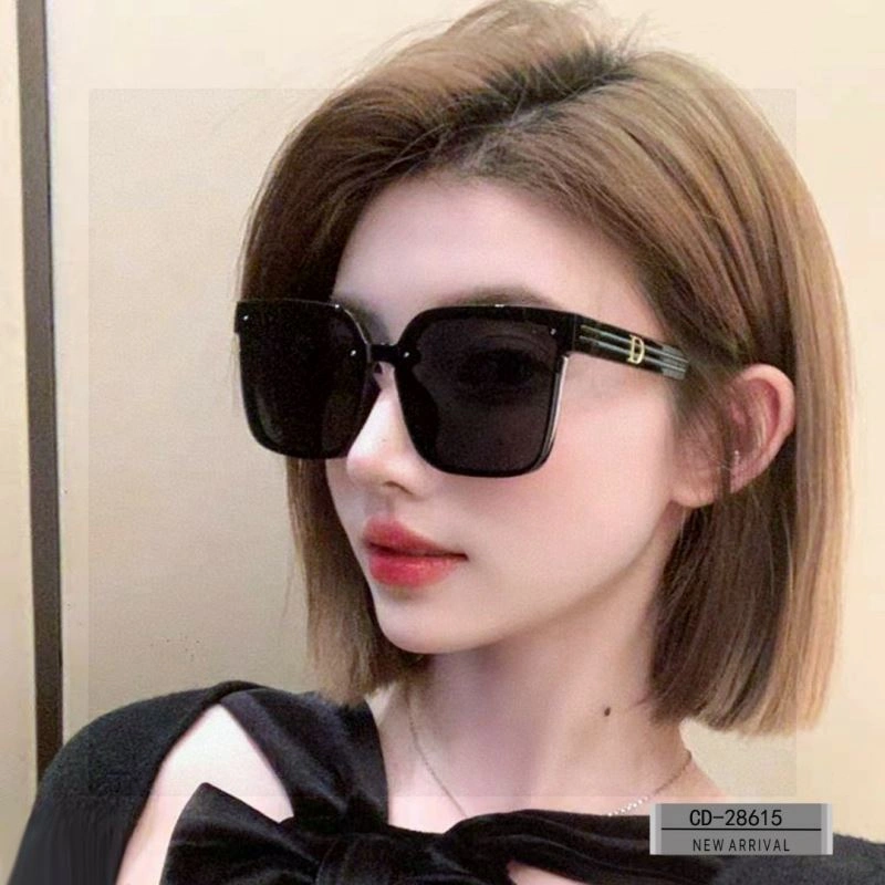 Christian Dior Sunglasses Bold 278623