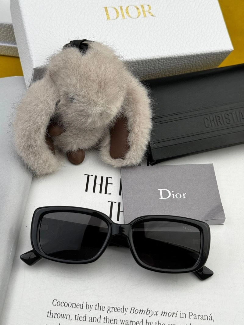 WellDesigned Christian Dior Sunglasses 278859