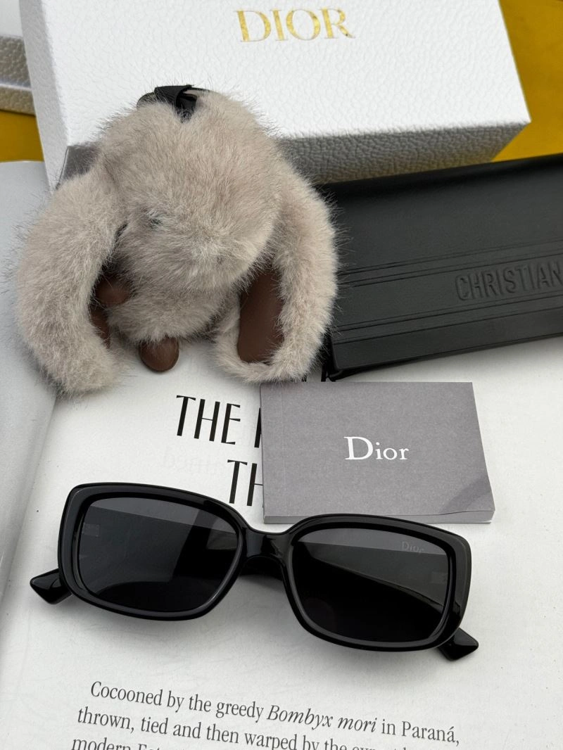 WellDesigned Christian Dior Sunglasses 278859