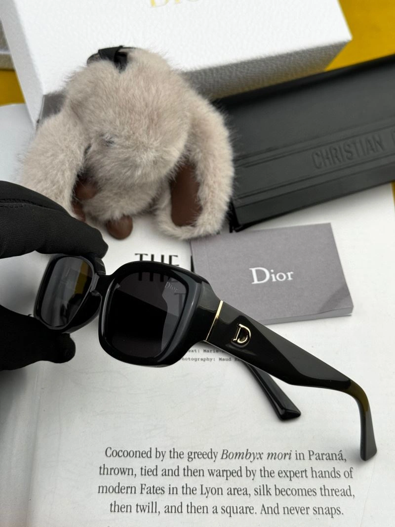 WellDesigned Christian Dior Sunglasses 278859