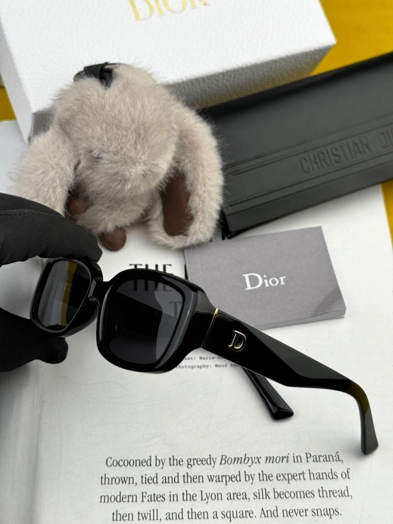 WellDesigned Christian Dior Sunglasses 278859