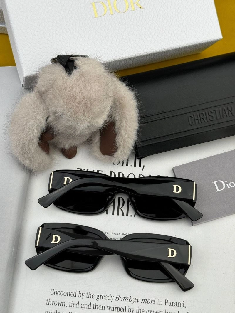 WellDesigned Christian Dior Sunglasses 278859