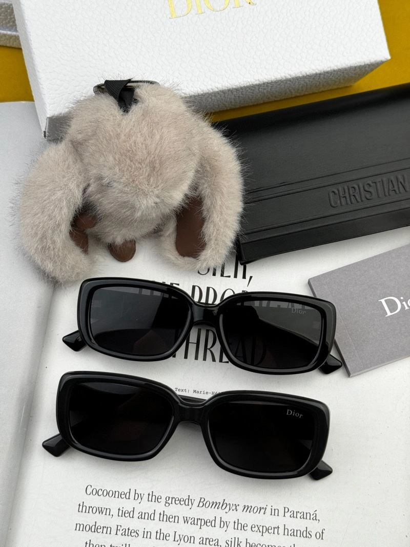WellDesigned Christian Dior Sunglasses 278859