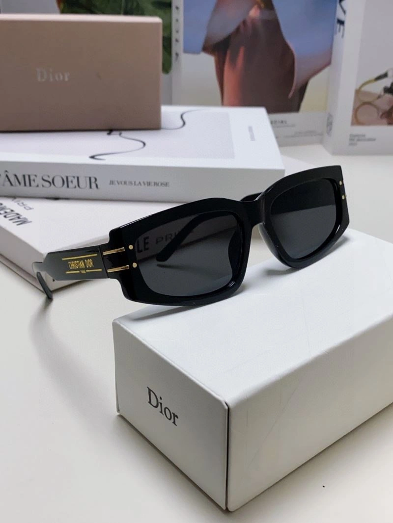 Christian Dior Sunglasses Resilient 278886