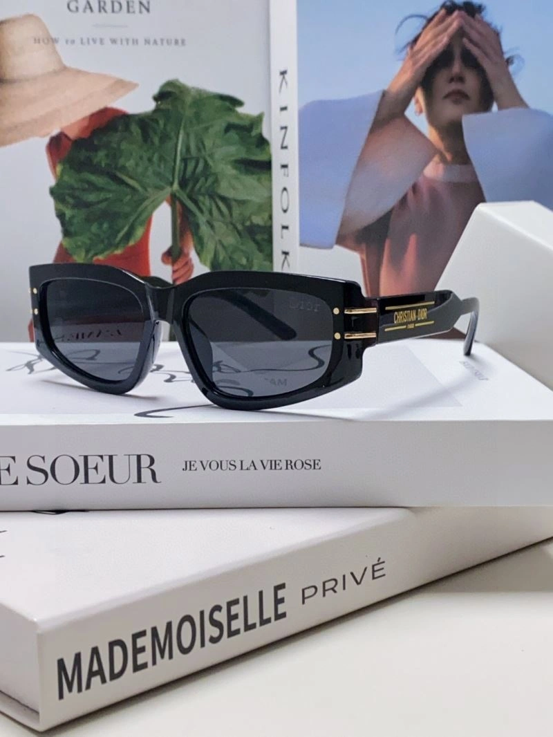 Christian Dior Sunglasses Resilient 278886