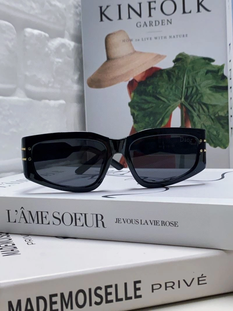 Christian Dior Sunglasses Resilient 278886