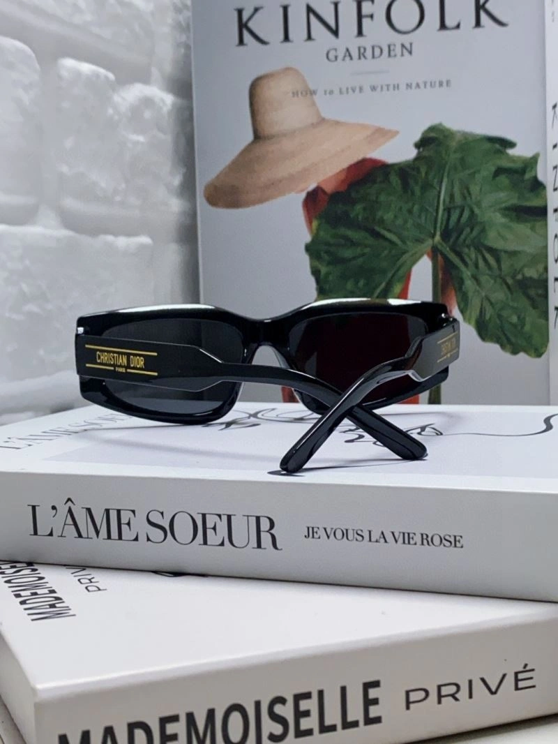 Christian Dior Sunglasses Resilient 278886