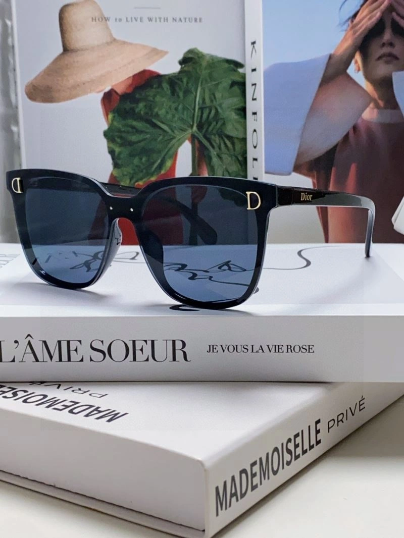 GoAnywhere Christian Dior Sunglasses 278869