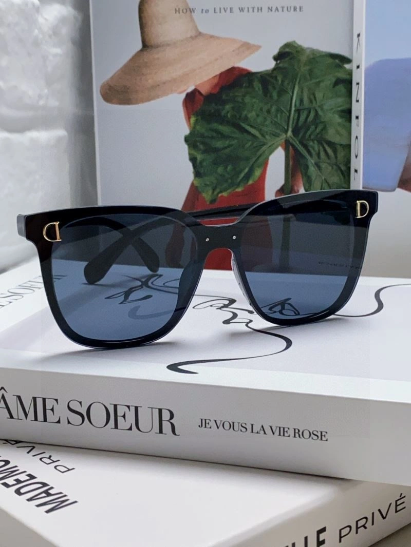 GoAnywhere Christian Dior Sunglasses 278869