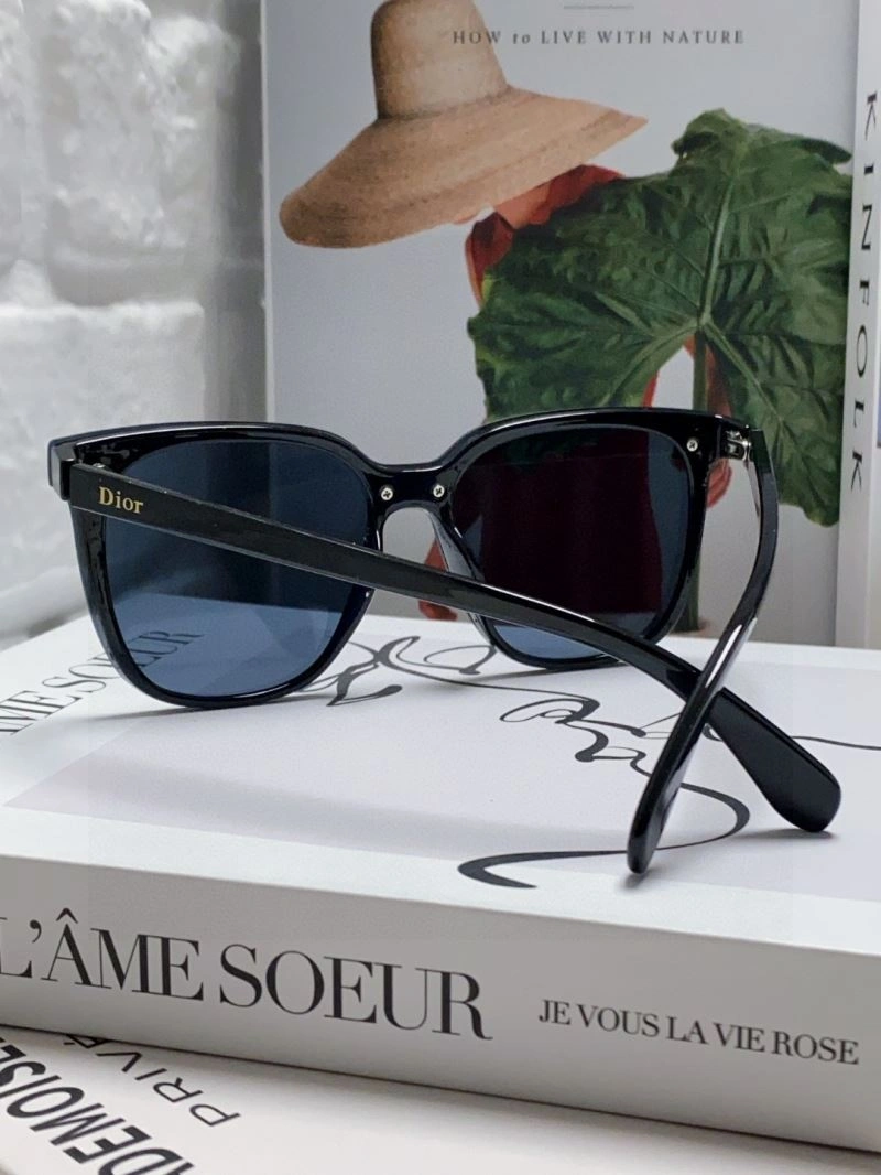 GoAnywhere Christian Dior Sunglasses 278869