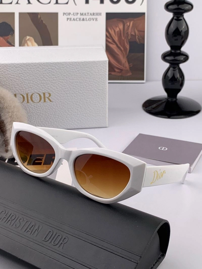 EyeCatching Christian Dior Sunglasses 278822