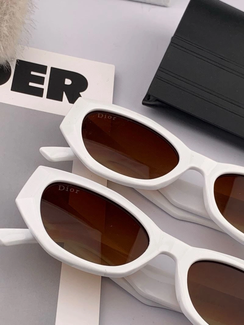 EyeCatching Christian Dior Sunglasses 278822