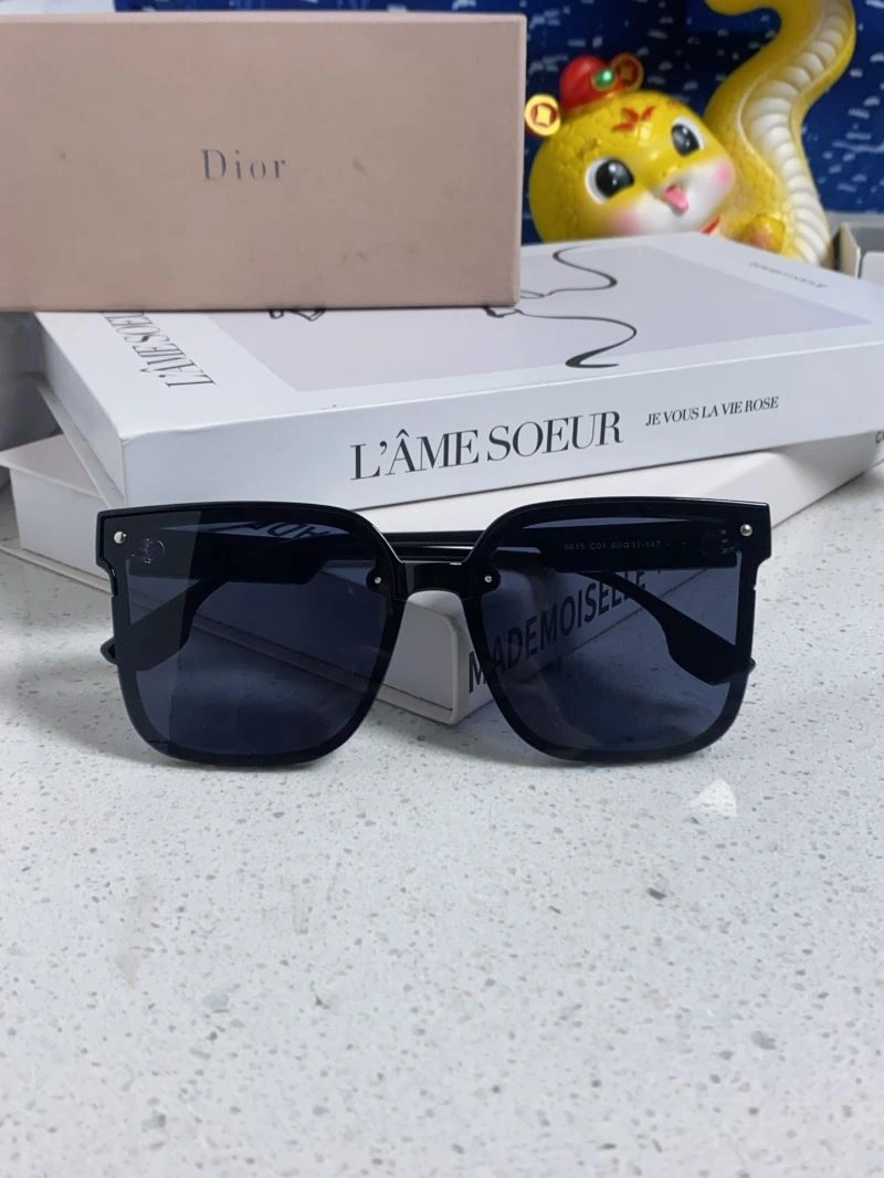 Christian Dior Sunglasses EasyCare 278791