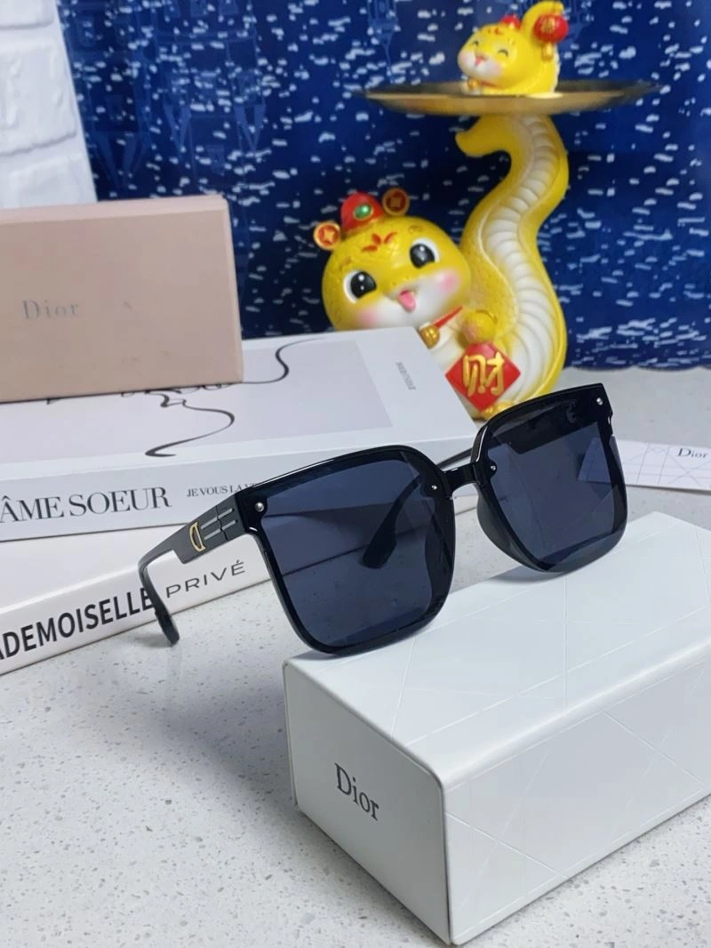 Christian Dior Sunglasses EasyCare 278791