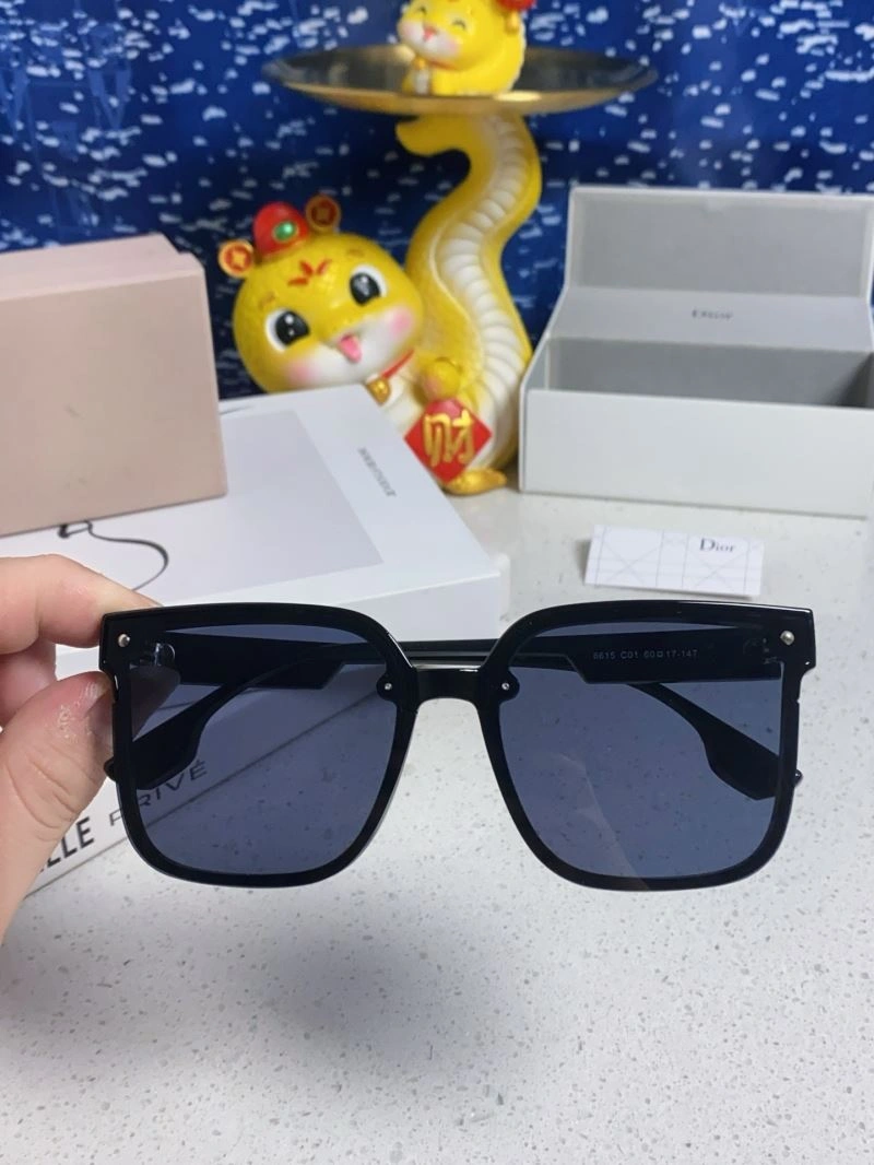 Christian Dior Sunglasses EasyCare 278791