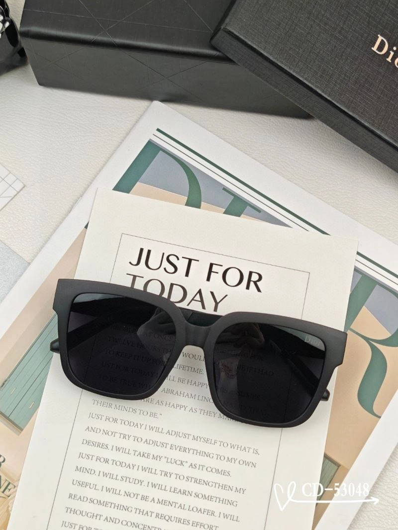 DailyWear Christian Dior Sunglasses 278783