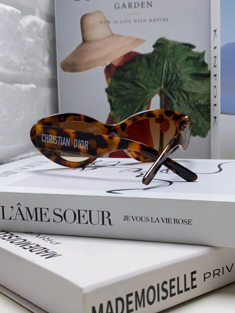 Sleek Christian Dior Sunglasses 278756