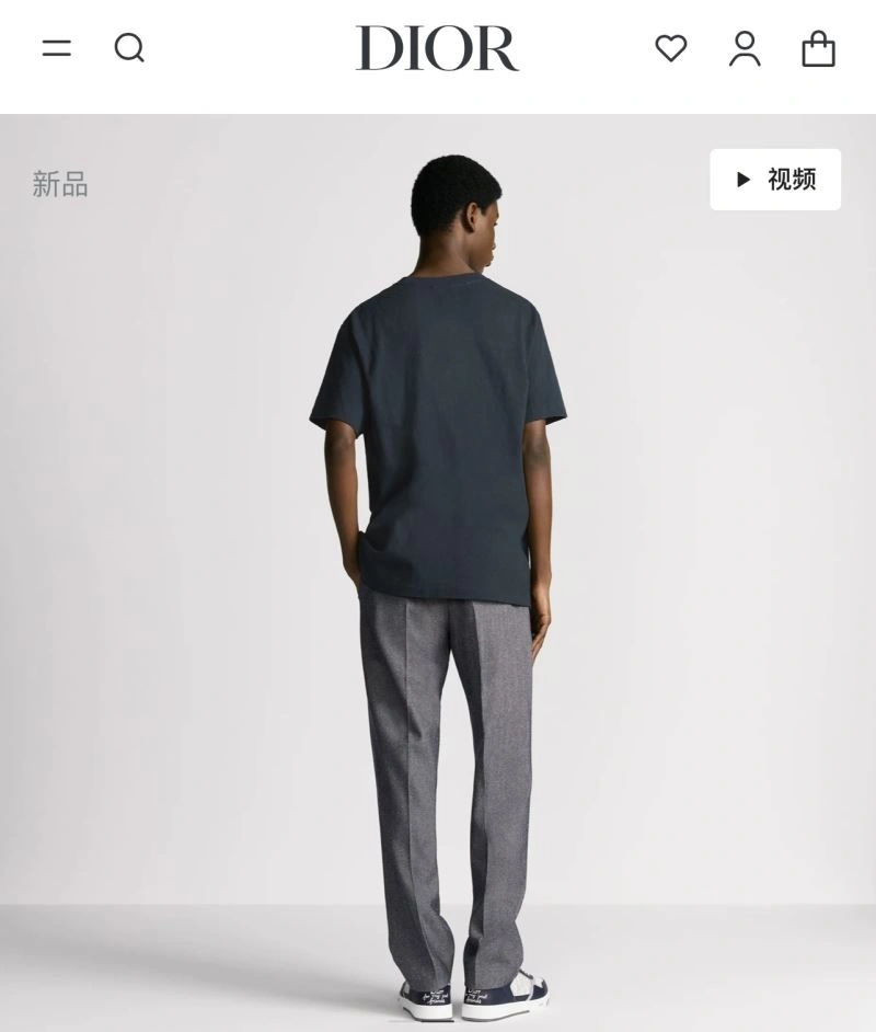 WrinkleFree Christian Dior T-Shirts 117384