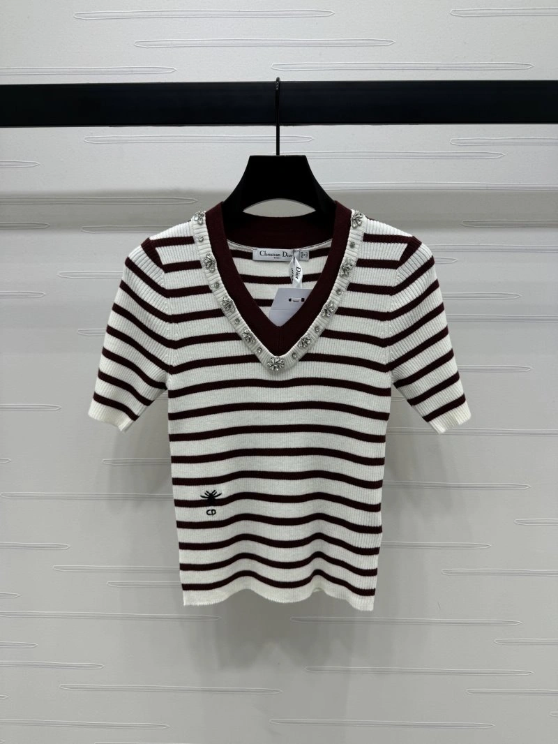 HighQuality Christian Dior T-Shirts 114174