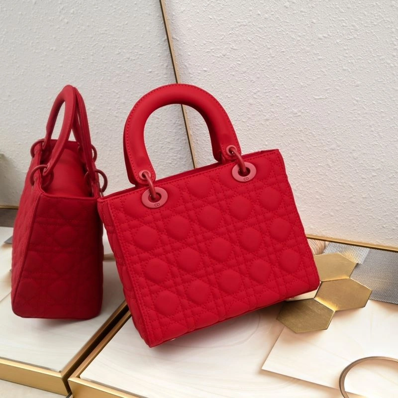 Christian Dior Top Handle Bags OdorResistant 87606