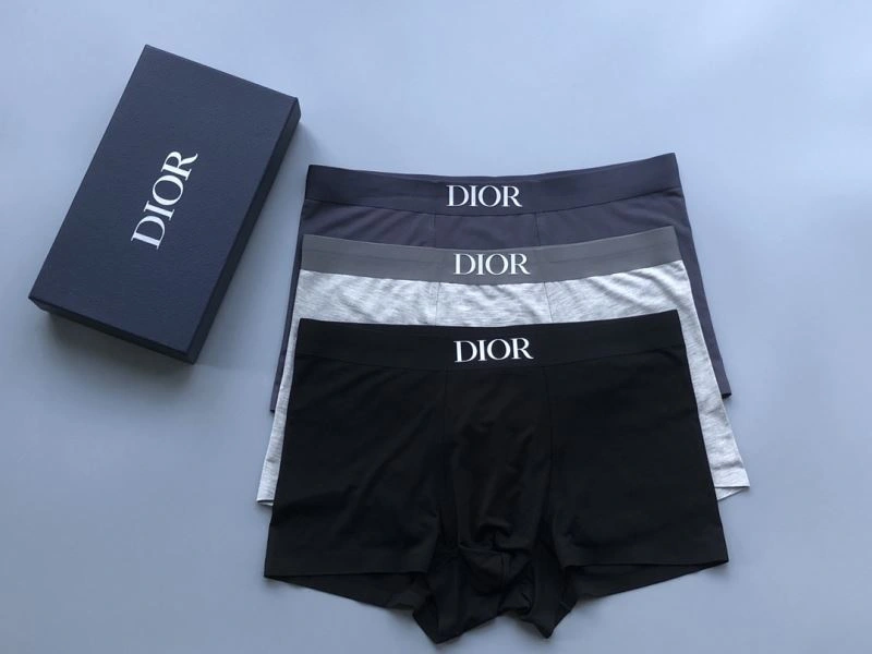 Christian Dior Underwear Flexible 276831