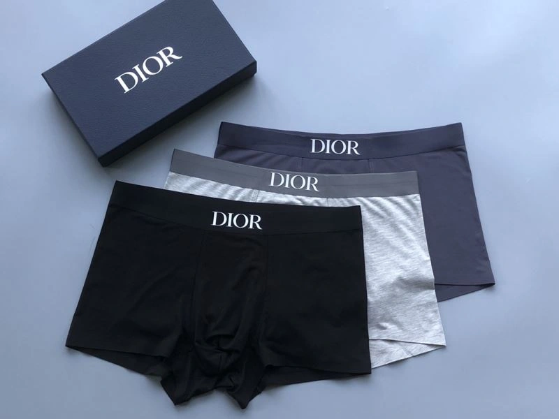 Christian Dior Underwear Flexible 276831