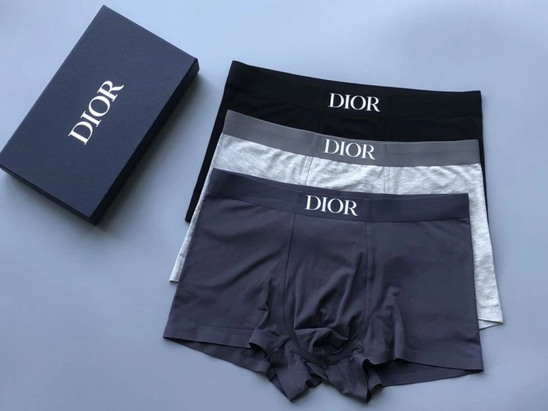 Christian Dior Underwear Flexible 276831