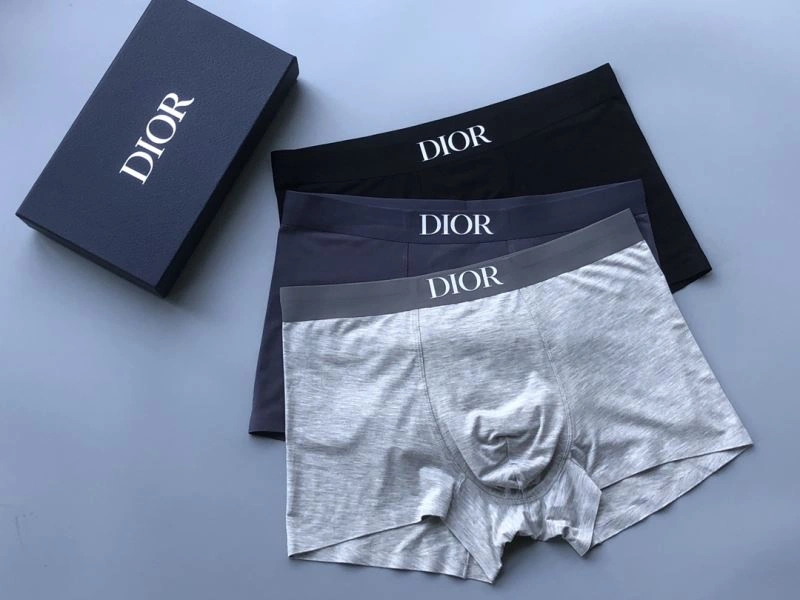Christian Dior Underwear Flexible 276831
