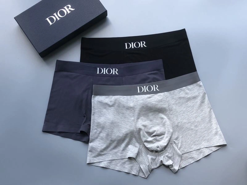 Christian Dior Underwear Flexible 276831