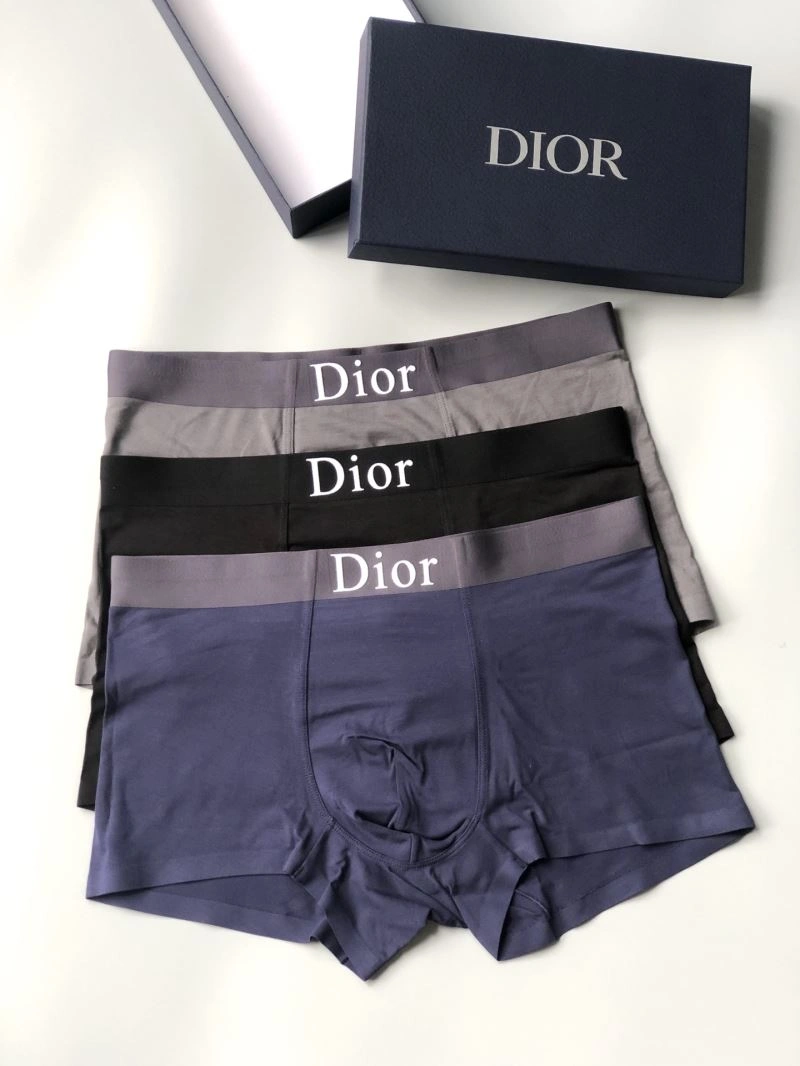 DailyWear Christian Dior Underwear 276822