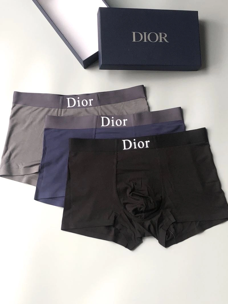 DailyWear Christian Dior Underwear 276822
