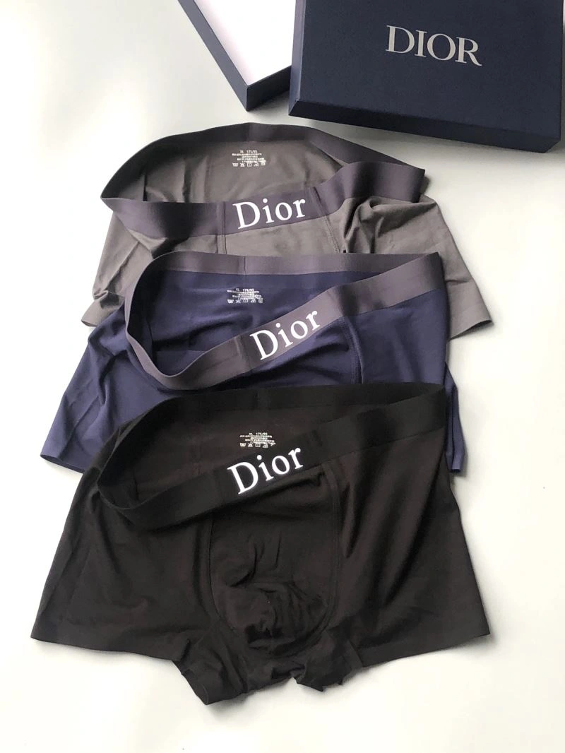 DailyWear Christian Dior Underwear 276822