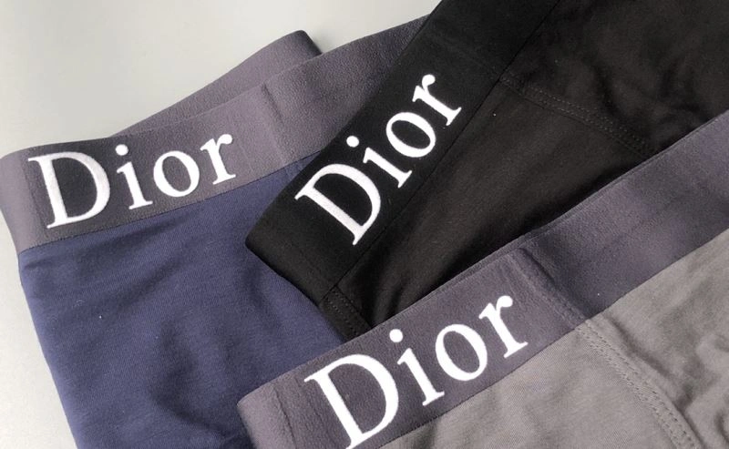 DailyWear Christian Dior Underwear 276822