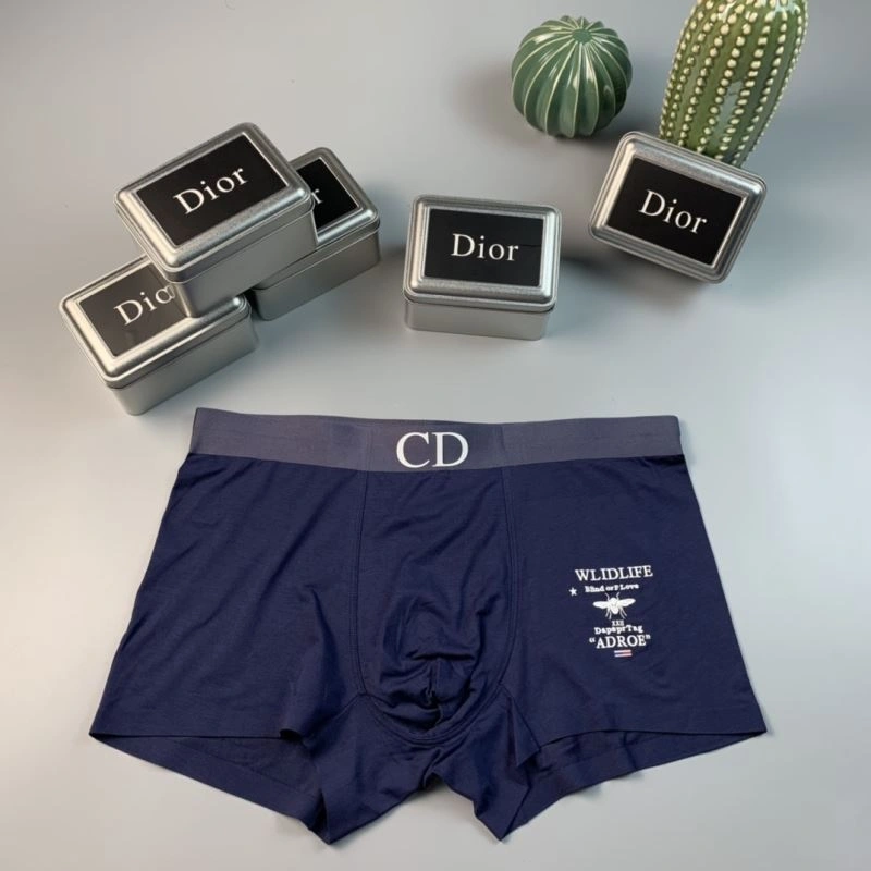 TechFriendly Christian Dior Underwear 276816