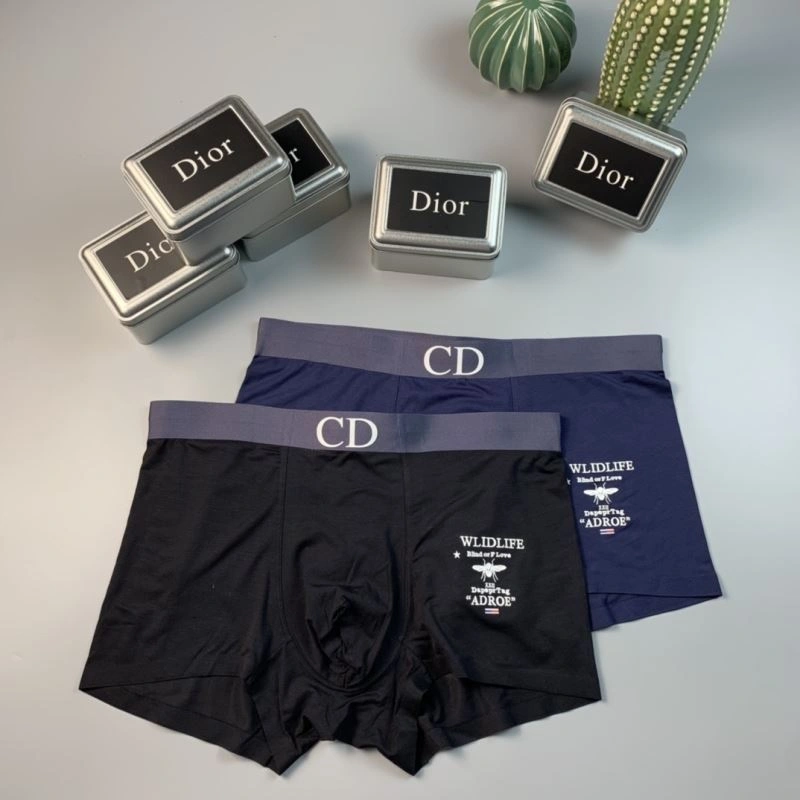 TechFriendly Christian Dior Underwear 276816