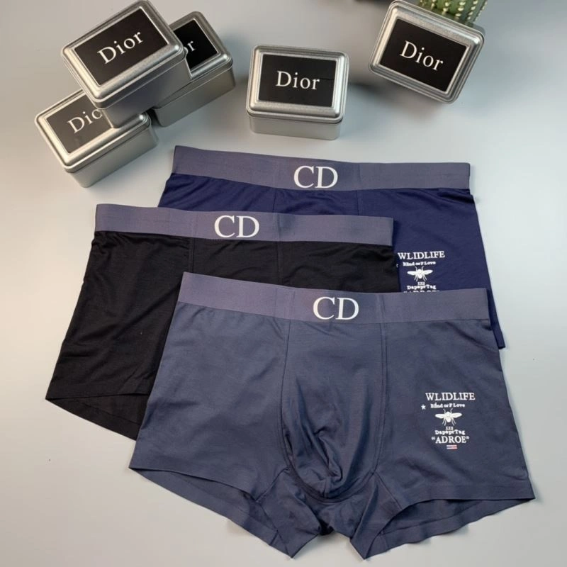 TechFriendly Christian Dior Underwear 276816
