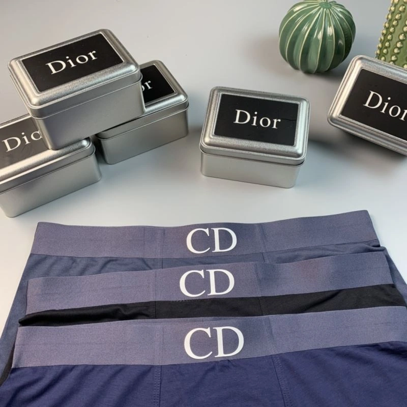 TechFriendly Christian Dior Underwear 276816