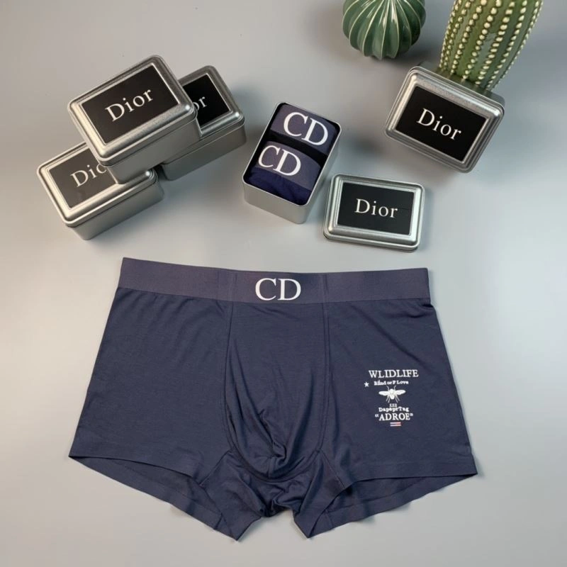 TechFriendly Christian Dior Underwear 276816