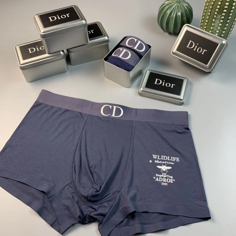 TechFriendly Christian Dior Underwear 276816