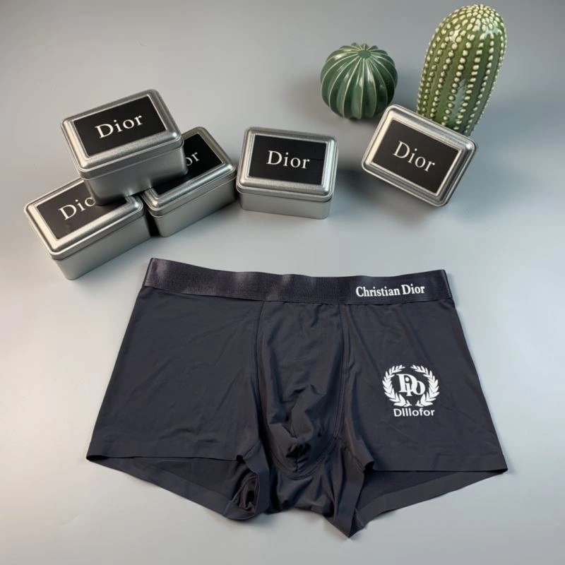 SoftTouch Christian Dior Underwear 276825