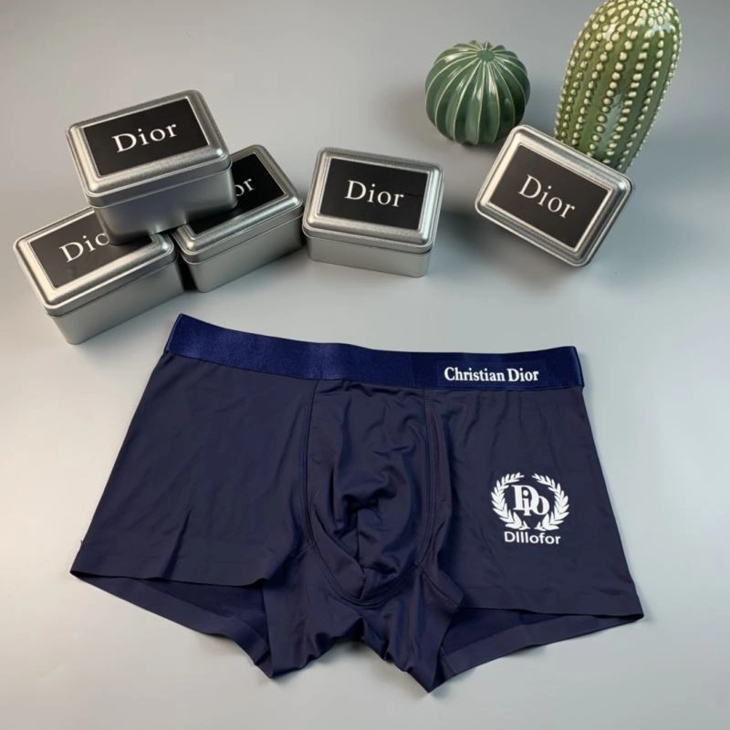 SoftTouch Christian Dior Underwear 276825