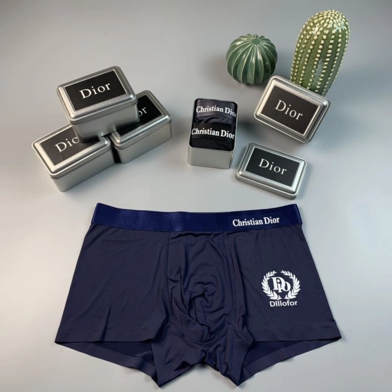 SoftTouch Christian Dior Underwear 276825