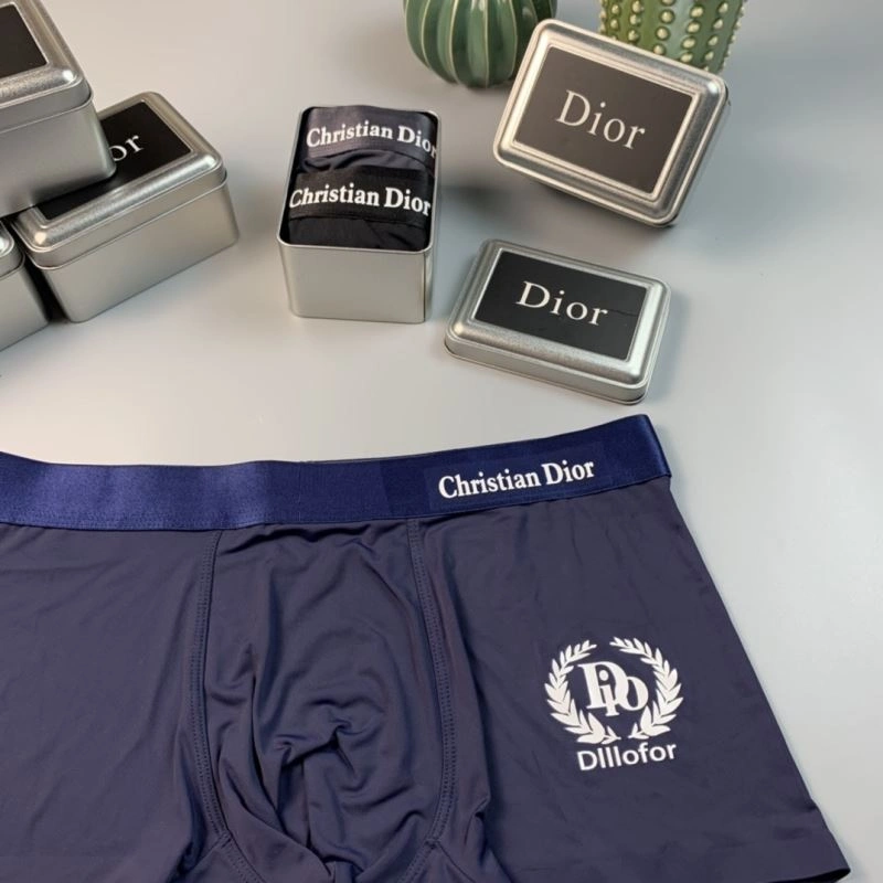 SoftTouch Christian Dior Underwear 276825