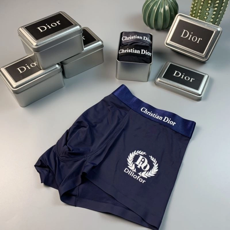 SoftTouch Christian Dior Underwear 276825